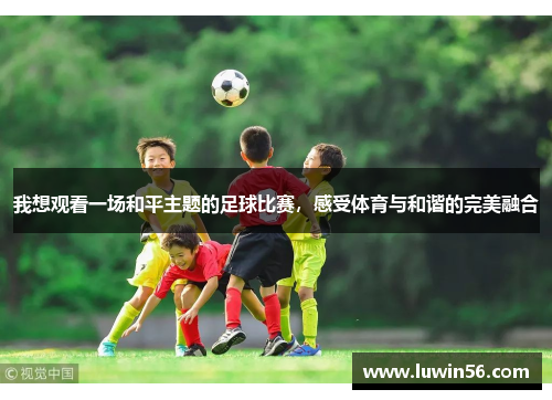 我想观看一场和平主题的足球比赛，感受体育与和谐的完美融合